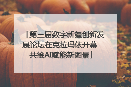 第三届数字新疆创新发展论坛在克拉玛依开幕 共绘AI赋能新图景