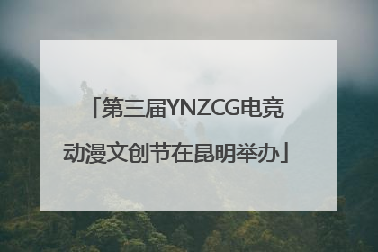 第三届YNZCG电竞动漫文创节在昆明举办