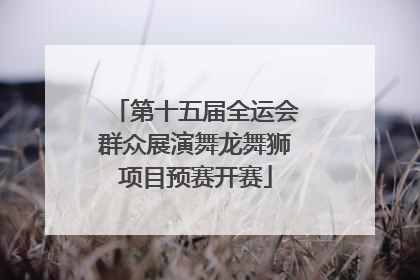 第十五届全运会群众展演舞龙舞狮项目预赛开赛