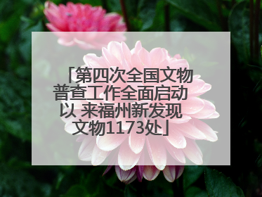 第四次全国文物普查工作全面启动以 来福州新发现文物1173处