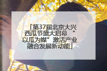 第37届北京大兴西瓜节盛大启幕 “以瓜为媒”激活产业融合发展新动能