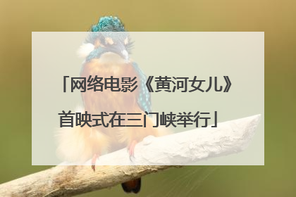 网络电影《黄河女儿》首映式在三门峡举行