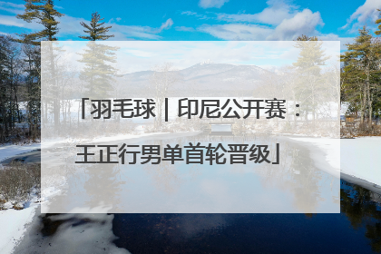 羽毛球｜印尼公开赛：王正行男单首轮晋级