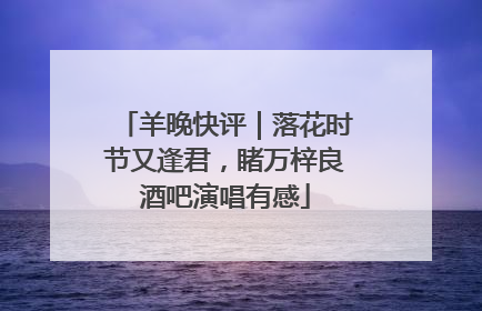羊晚快评｜落花时节又逢君，睹万梓良酒吧演唱有感