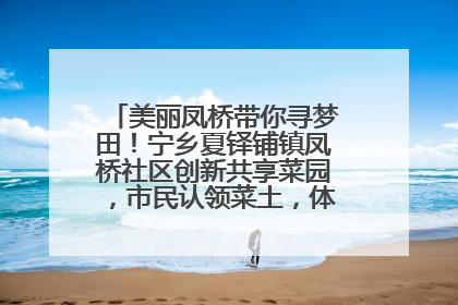 美丽凤桥带你寻梦田！宁乡夏铎铺镇凤桥社区创新共享菜园，市民认领菜土，体验耕种收获乐趣