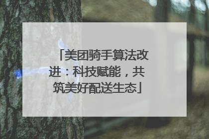 美团骑手算法改进：科技赋能，共筑美好配送生态