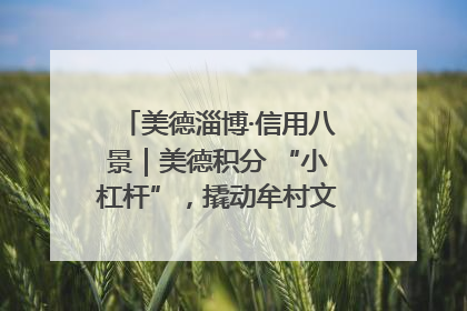 美德淄博·信用八景｜美德积分 “小杠杆”，撬动牟村文明 “大能量”