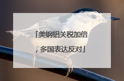 美钢铝关税加倍，多国表达反对