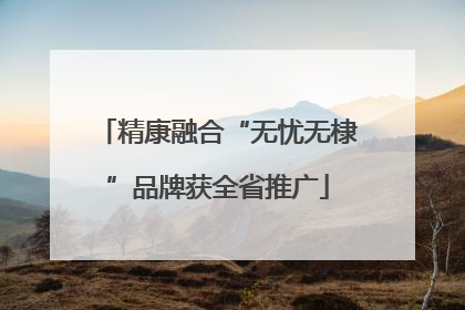 精康融合“无忧无棣”品牌获全省推广