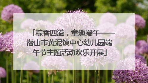 粽香四溢，童趣端午——潜山市黄泥镇中心幼儿园端午节主题活动欢乐开展