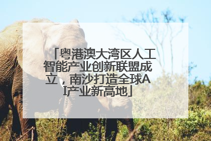 粤港澳大湾区人工智能产业创新联盟成立，南沙打造全球AI产业新高地