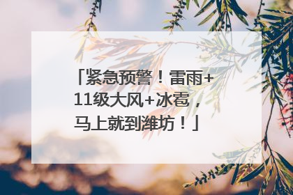 紧急预警！雷雨+11级大风+冰雹，马上就到潍坊！
