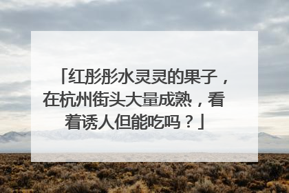 红彤彤水灵灵的果子，在杭州街头大量成熟，看着诱人但能吃吗？