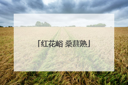 红花峪 桑葚熟