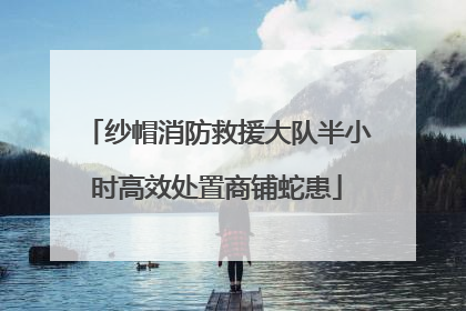 纱帽消防救援大队半小时高效处置商铺蛇患