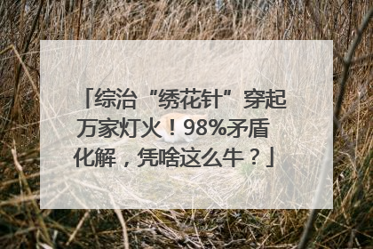 综治“绣花针”穿起万家灯火！98%矛盾化解，凭啥这么牛？