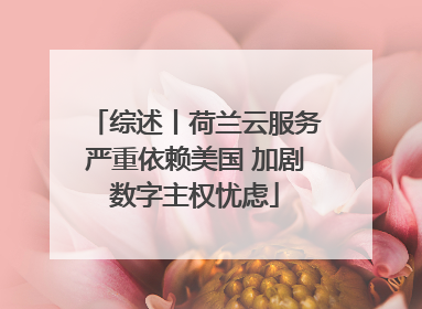 综述丨荷兰云服务严重依赖美国 加剧数字主权忧虑