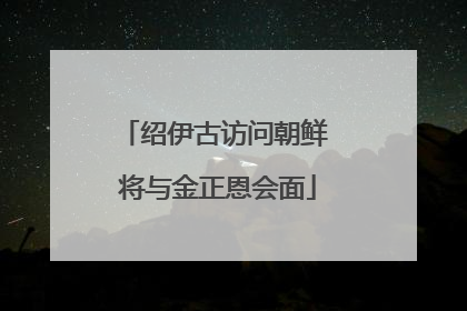 绍伊古访问朝鲜 将与金正恩会面