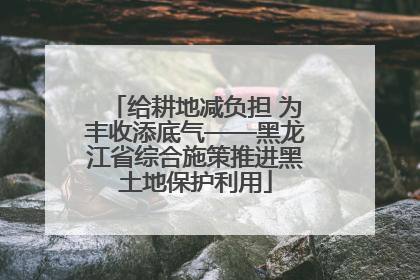 给耕地减负担 为丰收添底气——黑龙江省综合施策推进黑土地保护利用