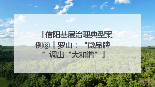 信阳基层治理典型案例⑧｜罗山：“微品牌”调出“大和谐”