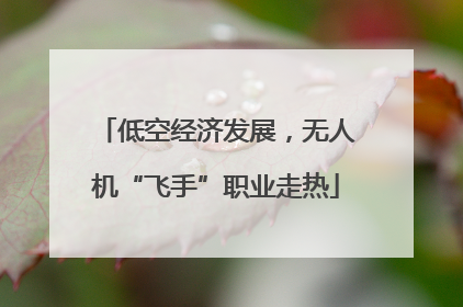 低空经济发展，无人机“飞手”职业走热