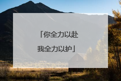 你全力以赴 我全力以护