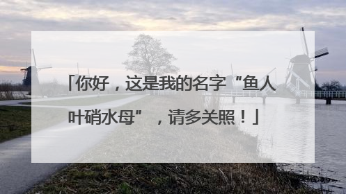 你好，这是我的名字“鱼人叶硝水母”，请多关照！
