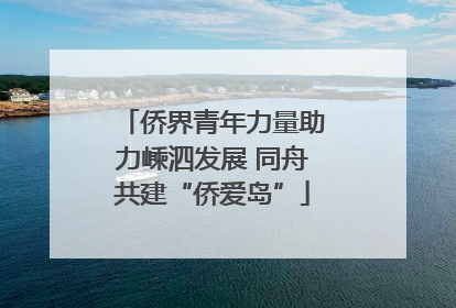 侨界青年力量助力嵊泗发展 同舟共建“侨爱岛”