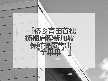 侨乡青田首批杨梅启程新加坡 保鲜提质售出“金果果”