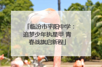 临汾市平阳中学：追梦少年执星甲 青春战旗启新程