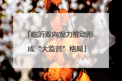 临沂双向发力推动形成“大监督”格局