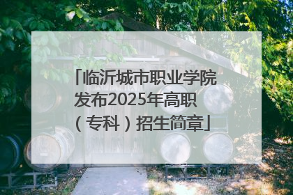临沂城市职业学院发布2025年高职（专科）招生简章
