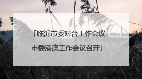 临沂市委对台工作会议、市委港澳工作会议召开