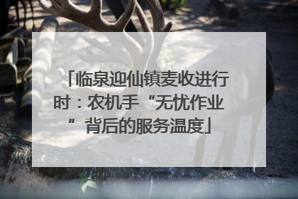临泉迎仙镇麦收进行时：农机手“无忧作业”背后的服务温度