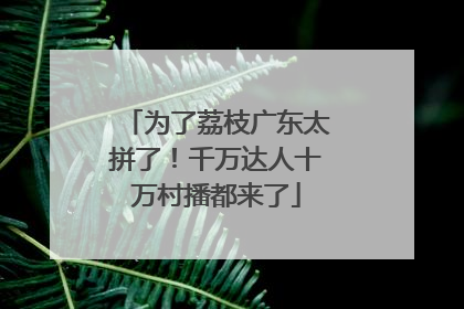 为了荔枝广东太拼了！千万达人十万村播都来了