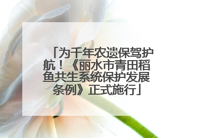 为千年农遗保驾护航！《丽水市青田稻鱼共生系统保护发展条例》正式施行