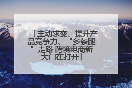 主动求变、提升产品竞争力、“多条腿”走路 跨境电商新大门在打开