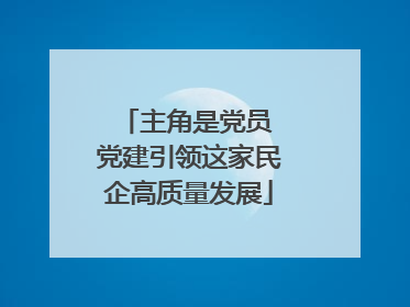 主角是党员 党建引领这家民企高质量发展