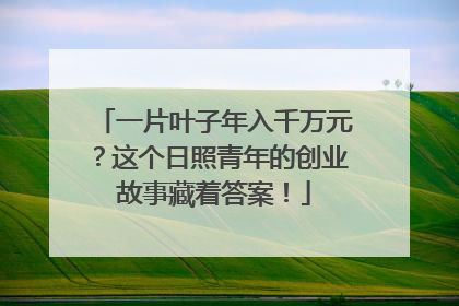 一片叶子年入千万元？这个日照青年的创业故事藏着答案！
