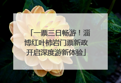 一票三日畅游！淄博红叶柿岩门票新政开启深度游新体验