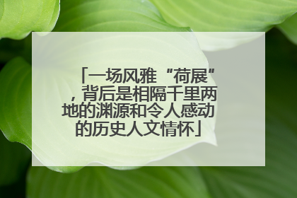 一场风雅“荷展”，背后是相隔千里两地的渊源和令人感动的历史人文情怀