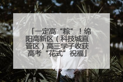 一定高“粽”！绵阳高新区（科技城直管区）高三学子收获高考“花式”祝福
