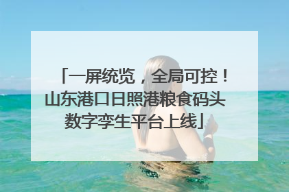 一屏统览，全局可控！山东港口日照港粮食码头数字孪生平台上线