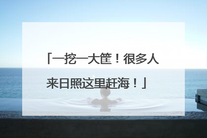 一挖一大筐！很多人来日照这里赶海！