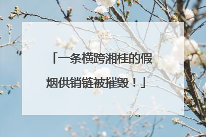 一条横跨湘桂的假烟供销链被摧毁！