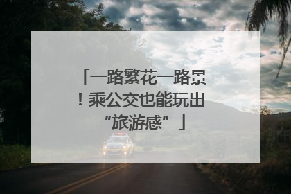 一路繁花一路景！乘公交也能玩出“旅游感”