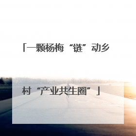 一颗杨梅“链”动乡村“产业共生圈”
