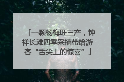 一颗杨梅旺三产，钟祥长滩四季采摘带给游客“舌尖上的惊喜”