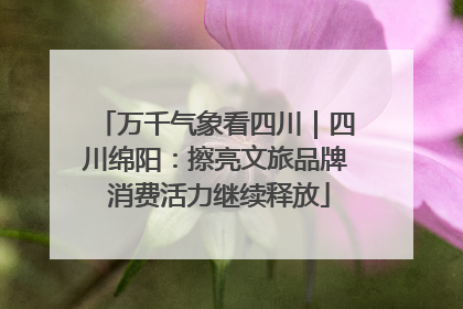 万千气象看四川｜四川绵阳：擦亮文旅品牌 消费活力继续释放