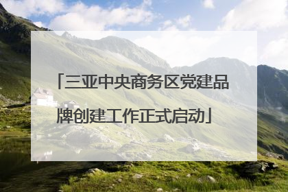 三亚中央商务区党建品牌创建工作正式启动